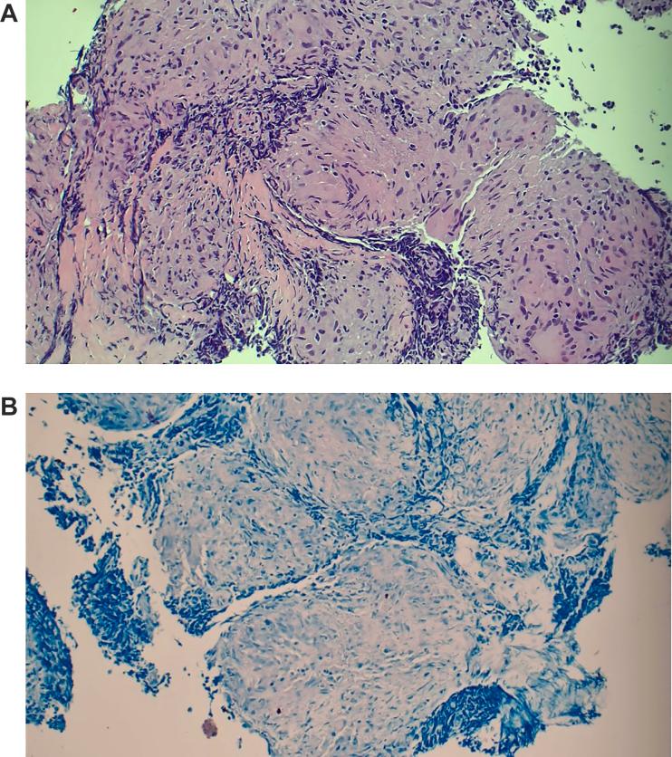https://cdn.ncbi.nlm.nih.gov/pmc/blobs/abba/11646884/f7abf7ec37f7/gr3.jpg