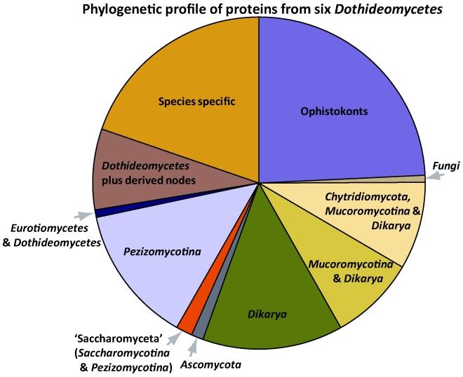 https://cdn.ncbi.nlm.nih.gov/pmc/blobs/abbb/2816964/e11265a58b7f/1fig4.jpg