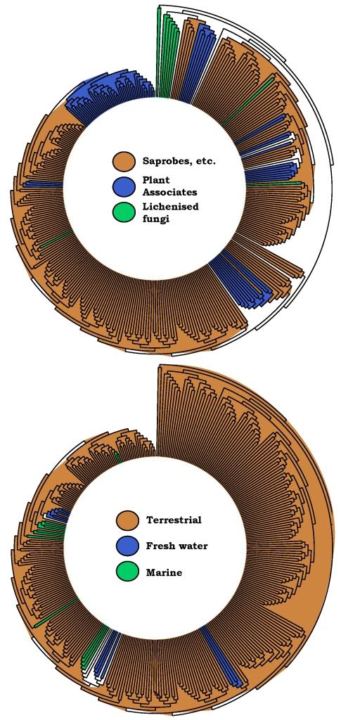 https://cdn.ncbi.nlm.nih.gov/pmc/blobs/abbb/2816964/f03973c3bc4c/1fig3.jpg