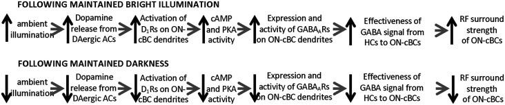 https://cdn.ncbi.nlm.nih.gov/pmc/blobs/abbc/8131545/037f2027cd98/fncel-15-647541-g0006.jpg