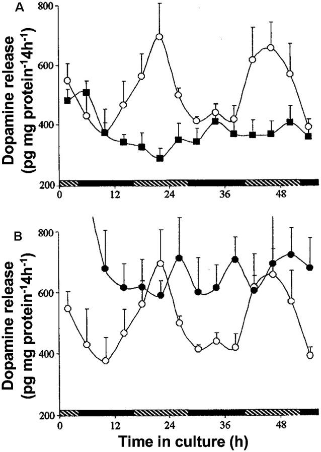 https://cdn.ncbi.nlm.nih.gov/pmc/blobs/abbc/8131545/8f89720a390d/fncel-15-647541-g0009.jpg