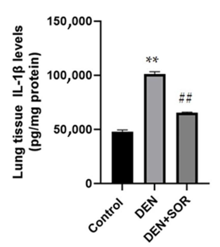https://cdn.ncbi.nlm.nih.gov/pmc/blobs/abbe/9963576/1fb33c839551/pharmaceuticals-16-00221-g003.jpg