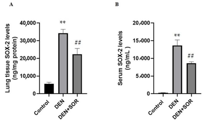 https://cdn.ncbi.nlm.nih.gov/pmc/blobs/abbe/9963576/62752ab018b5/pharmaceuticals-16-00221-g001.jpg