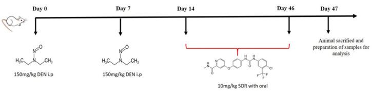 https://cdn.ncbi.nlm.nih.gov/pmc/blobs/abbe/9963576/8af205c5d3ed/pharmaceuticals-16-00221-g007.jpg
