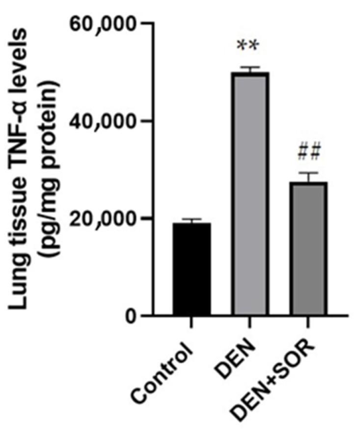 https://cdn.ncbi.nlm.nih.gov/pmc/blobs/abbe/9963576/c7d55b27b36e/pharmaceuticals-16-00221-g002.jpg