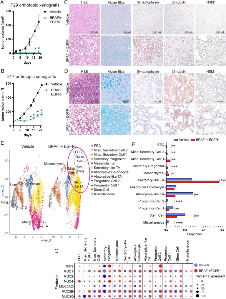 https://cdn.ncbi.nlm.nih.gov/pmc/blobs/abbf/12016338/cb8a79fd99b6/12943_2025_2311_Fig2_HTML.jpg