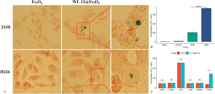 https://cdn.ncbi.nlm.nih.gov/pmc/blobs/abc0/11650703/160f58b1af51/fchem-12-1508912-g005.jpg