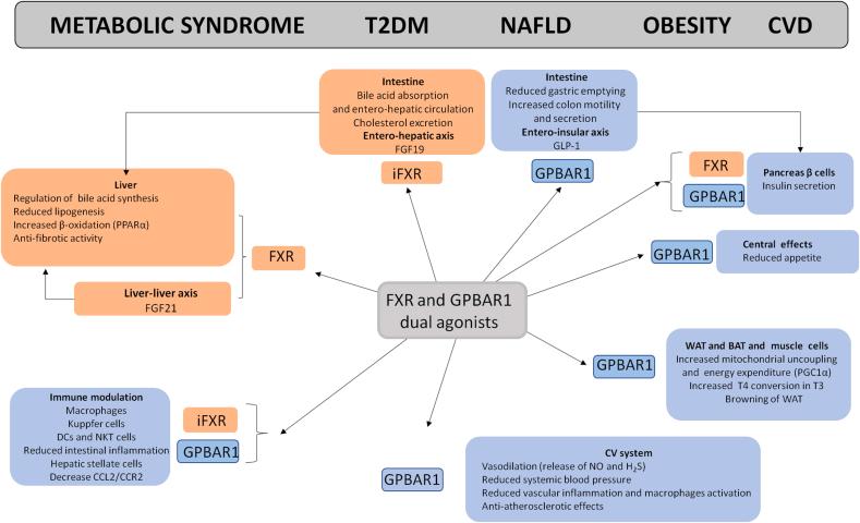 https://cdn.ncbi.nlm.nih.gov/pmc/blobs/abc0/11791866/a3883e7ea525/gr6.jpg