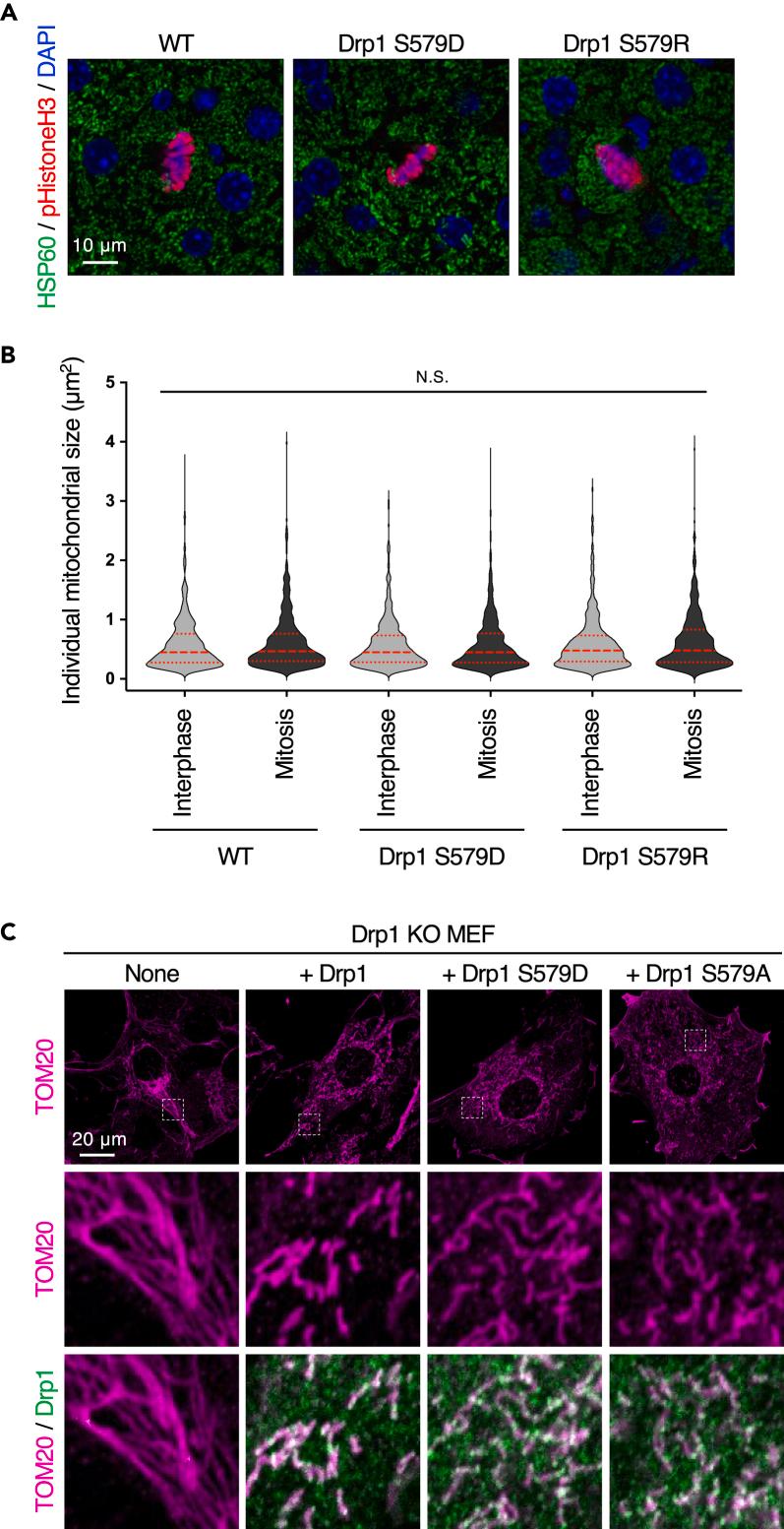 https://cdn.ncbi.nlm.nih.gov/pmc/blobs/abc1/11112374/a353d052853a/gr5.jpg
