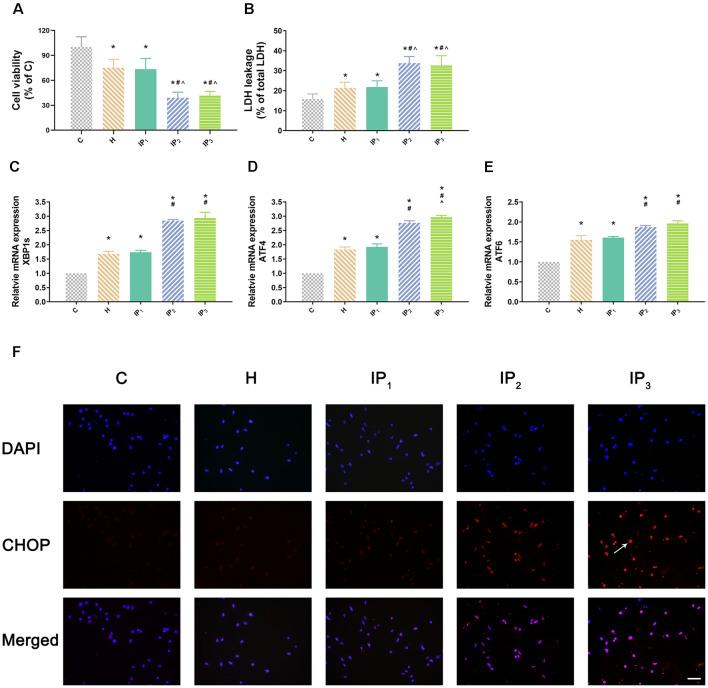 https://cdn.ncbi.nlm.nih.gov/pmc/blobs/abc3/7701289/c2dfd82e6582/fnagi-12-591938-g0001.jpg