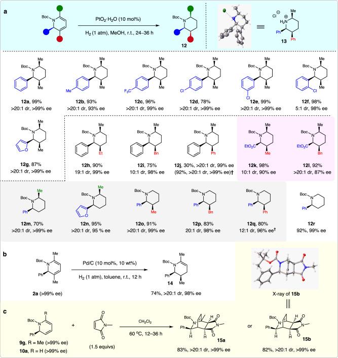 https://cdn.ncbi.nlm.nih.gov/pmc/blobs/abc3/8032725/50a93f113659/41467_2021_22374_Fig4_HTML.jpg