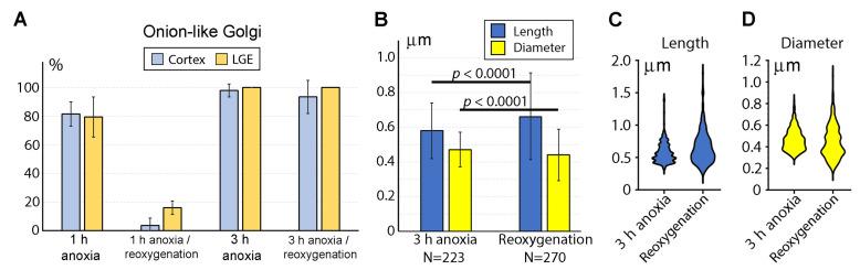 https://cdn.ncbi.nlm.nih.gov/pmc/blobs/abc4/10003327/4c441b52fd62/ijms-24-04432-g004.jpg