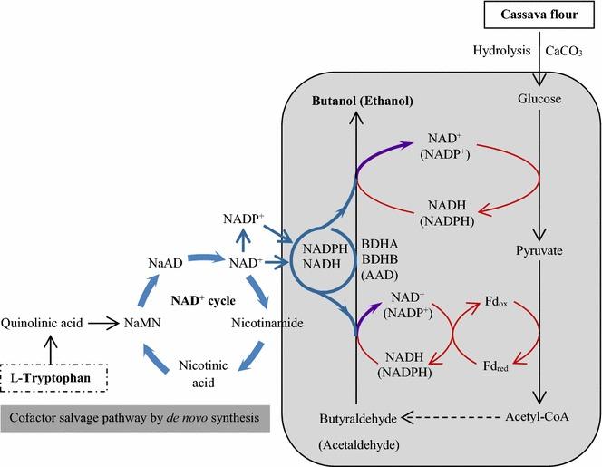 https://cdn.ncbi.nlm.nih.gov/pmc/blobs/abc5/4603972/ea96e9e7bb38/13068_2015_351_Fig4_HTML.jpg