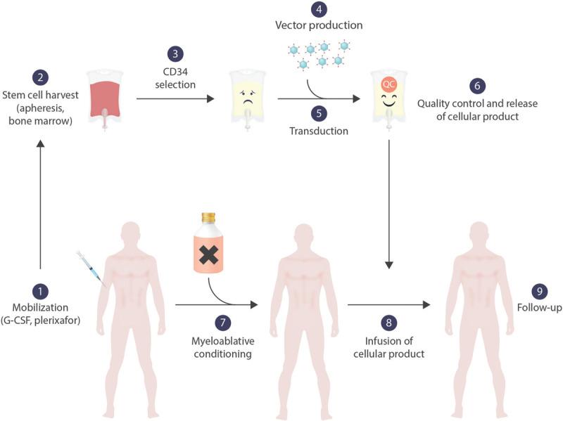 https://cdn.ncbi.nlm.nih.gov/pmc/blobs/abc5/7489710/acd806973f66/hs9-4-e479-g001.jpg