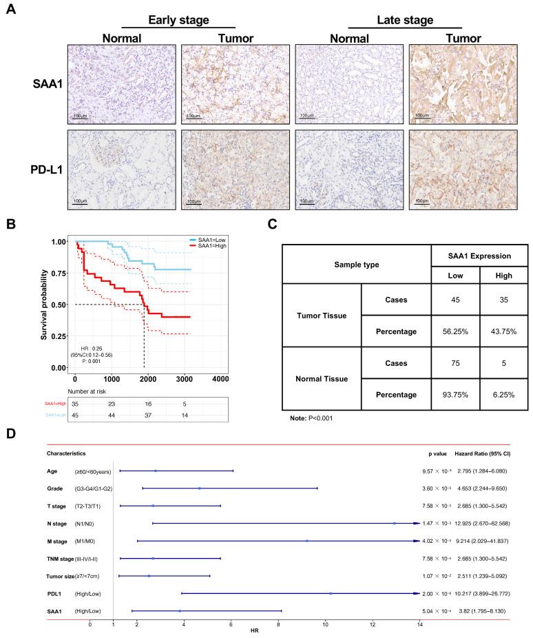 https://cdn.ncbi.nlm.nih.gov/pmc/blobs/abc6/10138873/1f9365a4a83b/ijms-24-07505-g007.jpg