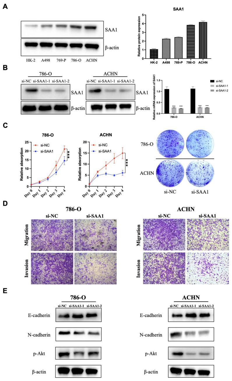 https://cdn.ncbi.nlm.nih.gov/pmc/blobs/abc6/10138873/3fee0ae80702/ijms-24-07505-g009.jpg