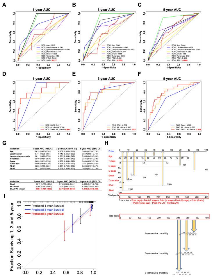 https://cdn.ncbi.nlm.nih.gov/pmc/blobs/abc6/10138873/7f4d6c13b869/ijms-24-07505-g008.jpg