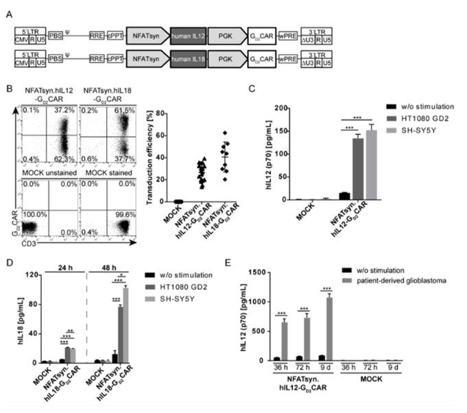 https://cdn.ncbi.nlm.nih.gov/pmc/blobs/abc7/7072617/1fb7eed0eaeb/cancers-12-00375-g005.jpg