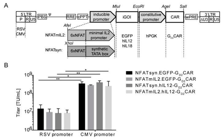 https://cdn.ncbi.nlm.nih.gov/pmc/blobs/abc7/7072617/31ae56eced0f/cancers-12-00375-g002.jpg