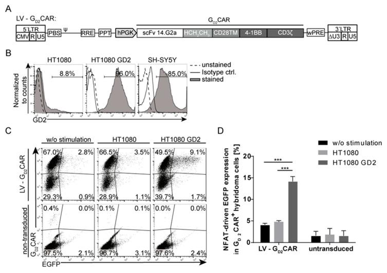 https://cdn.ncbi.nlm.nih.gov/pmc/blobs/abc7/7072617/5d9b2c464a7b/cancers-12-00375-g001.jpg