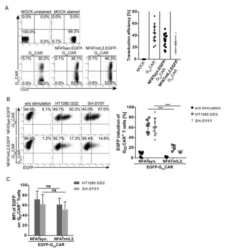 https://cdn.ncbi.nlm.nih.gov/pmc/blobs/abc7/7072617/83bba4d3bf8e/cancers-12-00375-g003.jpg