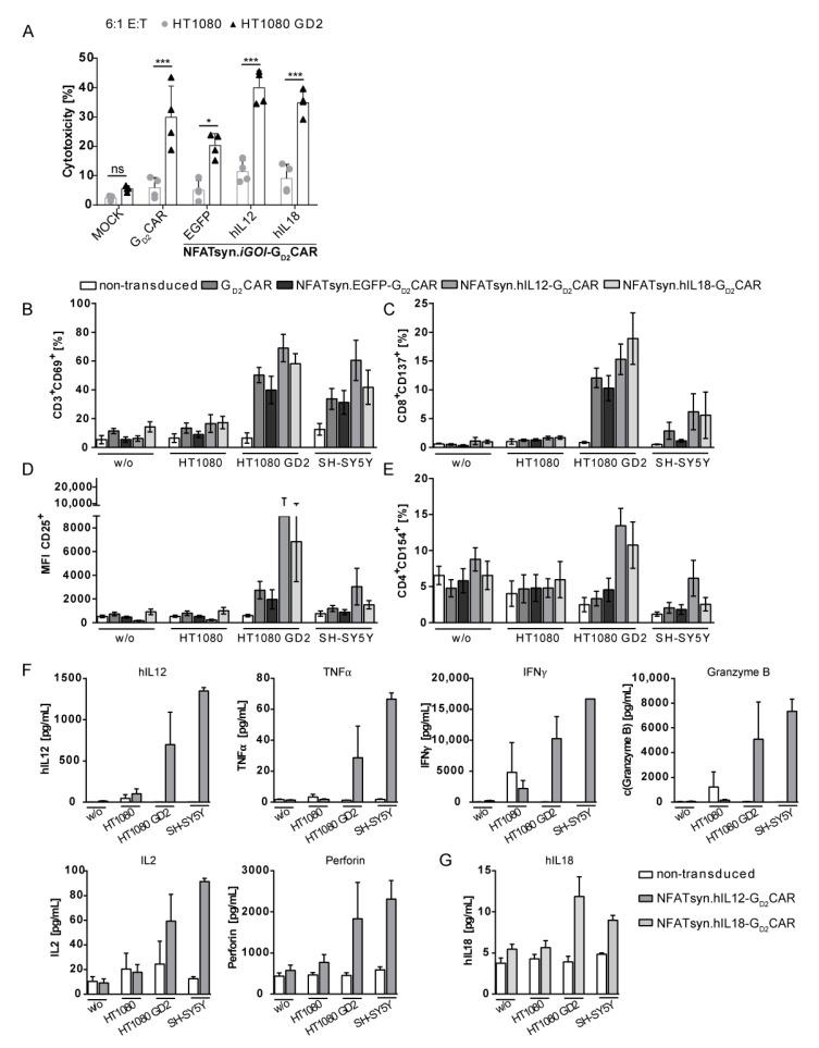 https://cdn.ncbi.nlm.nih.gov/pmc/blobs/abc7/7072617/9ceba22ffcde/cancers-12-00375-g006.jpg