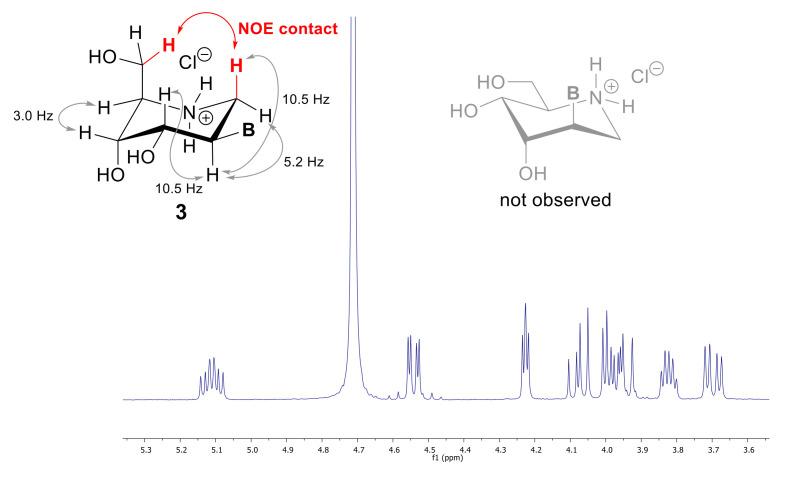 https://cdn.ncbi.nlm.nih.gov/pmc/blobs/abca/8001838/8e41244336ae/molecules-26-01652-g003.jpg
