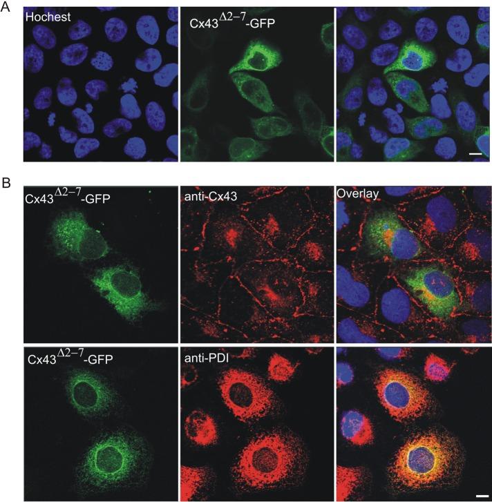 https://cdn.ncbi.nlm.nih.gov/pmc/blobs/abcb/3431933/b00447ee6db7/3312fig2.jpg