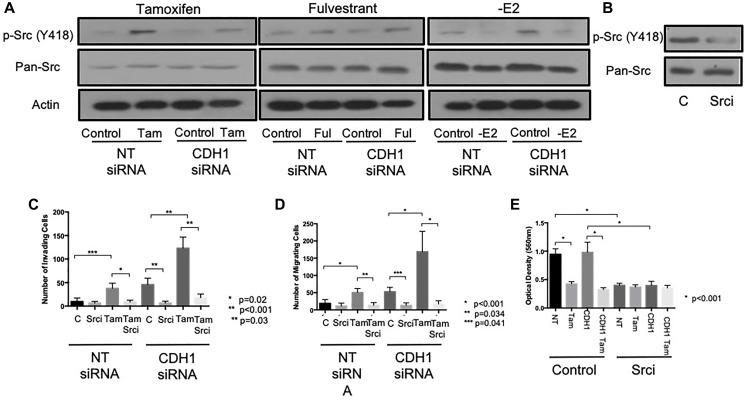 https://cdn.ncbi.nlm.nih.gov/pmc/blobs/abcc/7771710/0db0a62d1baf/oncotarget-11-4722-g003.jpg