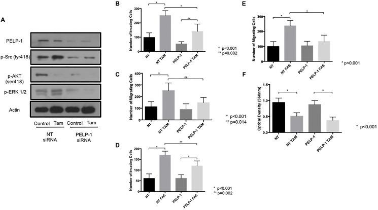 https://cdn.ncbi.nlm.nih.gov/pmc/blobs/abcc/7771710/a2331448c43d/oncotarget-11-4722-g006.jpg