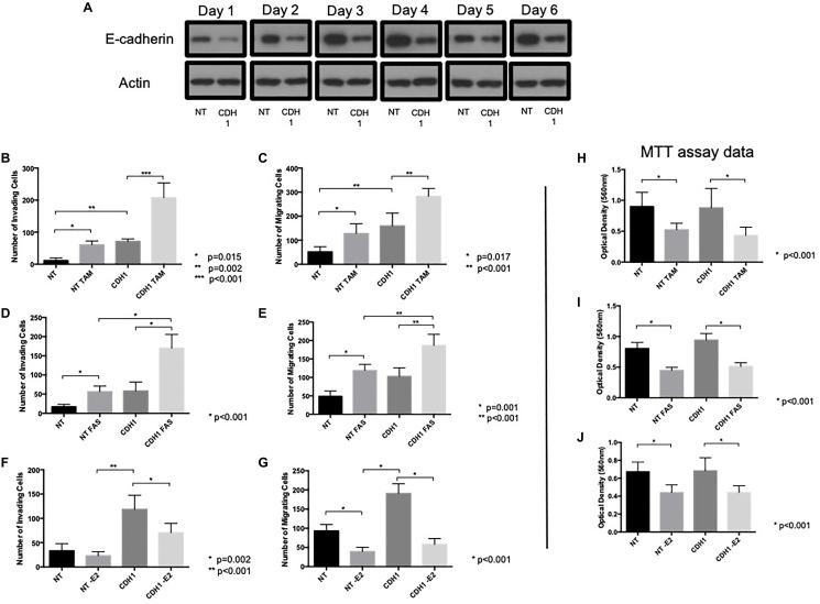 https://cdn.ncbi.nlm.nih.gov/pmc/blobs/abcc/7771710/afd8e80b9bce/oncotarget-11-4722-g002.jpg