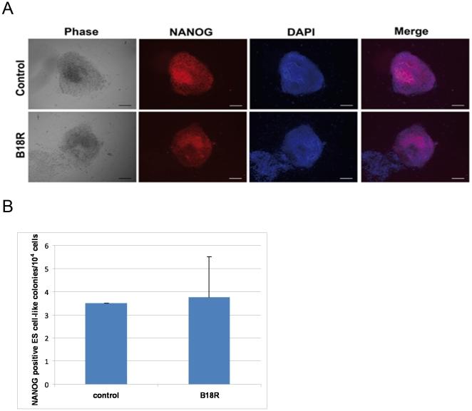 https://cdn.ncbi.nlm.nih.gov/pmc/blobs/abcd/3164204/d7ea2fbf384c/pone.0024351.g007.jpg