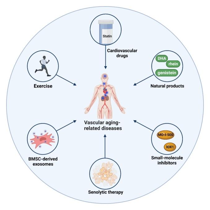 https://cdn.ncbi.nlm.nih.gov/pmc/blobs/abce/11272212/11b65adf6827/AD-15-4-1447-g5.jpg