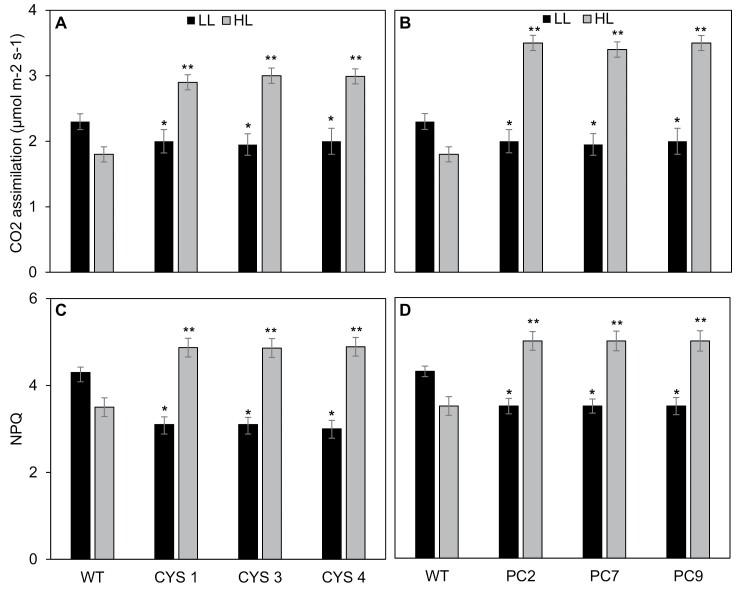 https://cdn.ncbi.nlm.nih.gov/pmc/blobs/abcf/8256631/54a94db3dac2/erab101_fig4.jpg