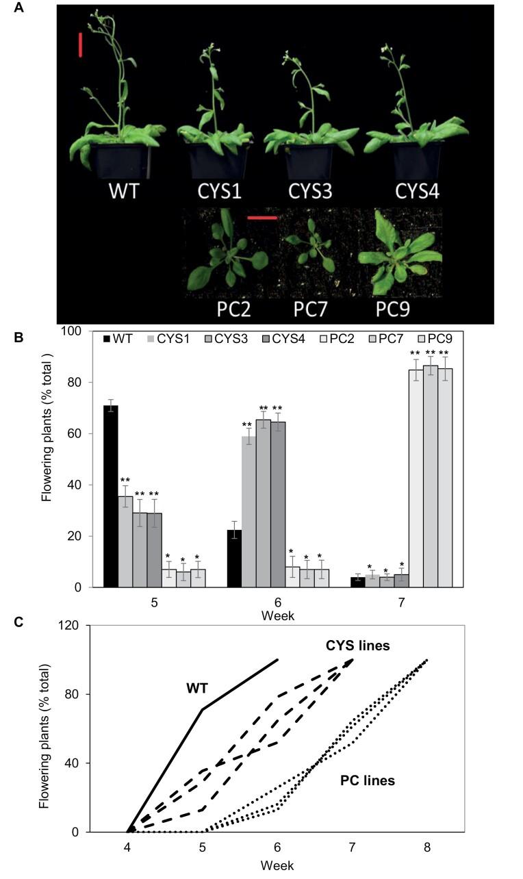 https://cdn.ncbi.nlm.nih.gov/pmc/blobs/abcf/8256631/a46248451b22/erab101_fig1.jpg