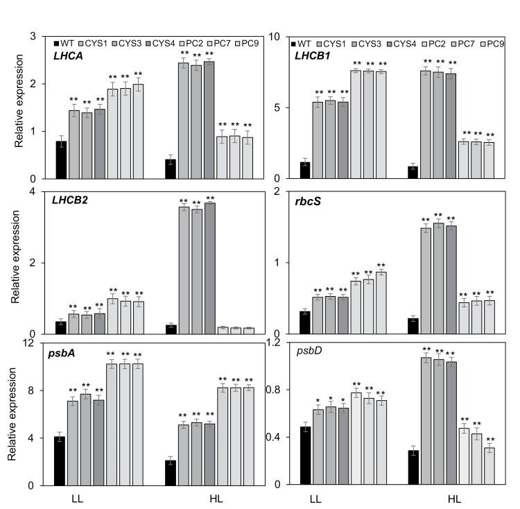 https://cdn.ncbi.nlm.nih.gov/pmc/blobs/abcf/8256631/b61c493ca427/erab101_fig7.jpg
