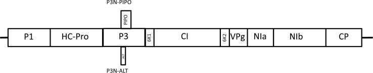 https://cdn.ncbi.nlm.nih.gov/pmc/blobs/abd0/7847761/fe85131450bf/ppj-37-1-1-f1.jpg