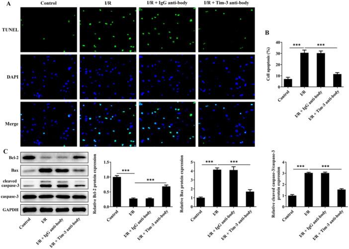 https://cdn.ncbi.nlm.nih.gov/pmc/blobs/abd1/11621861/e08d81586224/IID3-12-e70084-g006.jpg