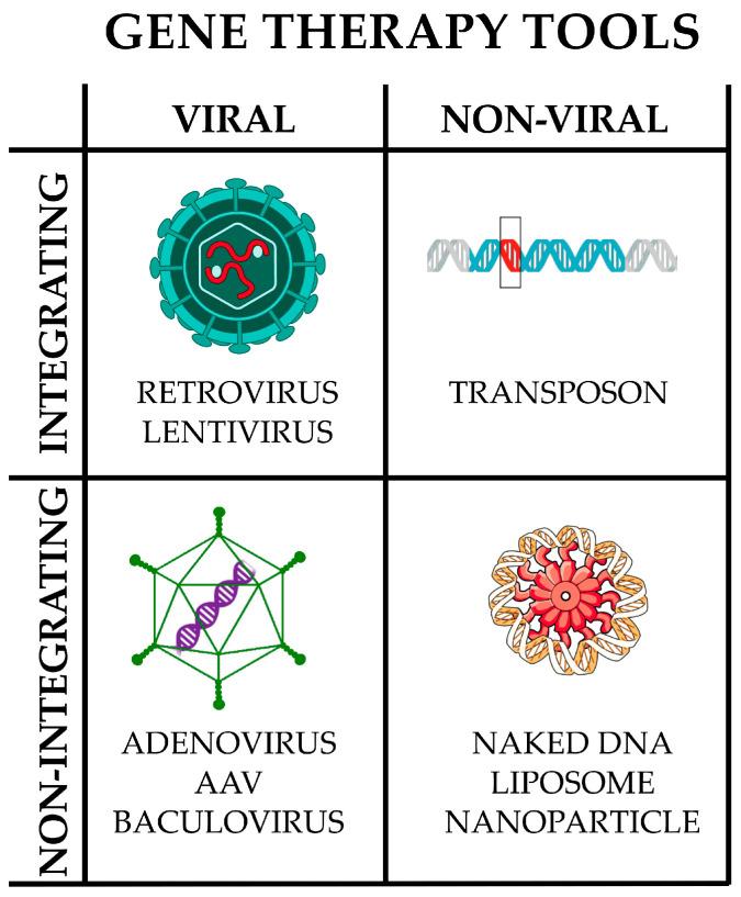 https://cdn.ncbi.nlm.nih.gov/pmc/blobs/abd3/12030637/72afacb78a9b/pharmaceutics-17-00471-g004.jpg