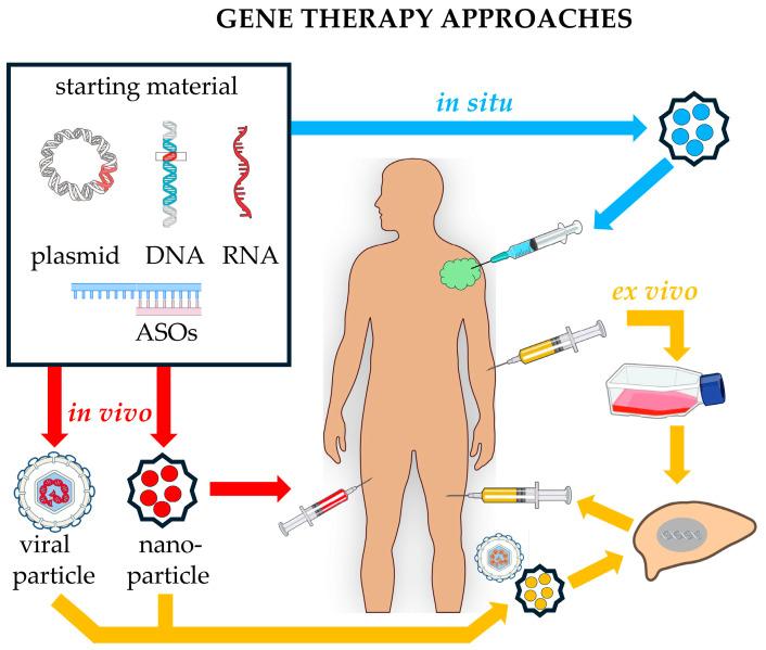 https://cdn.ncbi.nlm.nih.gov/pmc/blobs/abd3/12030637/95f6104fb277/pharmaceutics-17-00471-g003.jpg