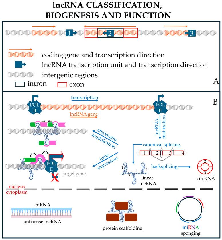 https://cdn.ncbi.nlm.nih.gov/pmc/blobs/abd3/12030637/96c07c58cb6b/pharmaceutics-17-00471-g005.jpg