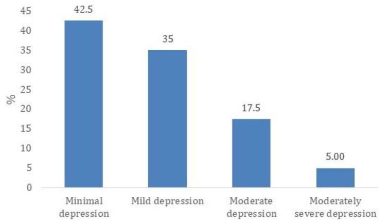 https://cdn.ncbi.nlm.nih.gov/pmc/blobs/abd6/12295395/f56c5e69050f/healthcare-13-01707-g002.jpg