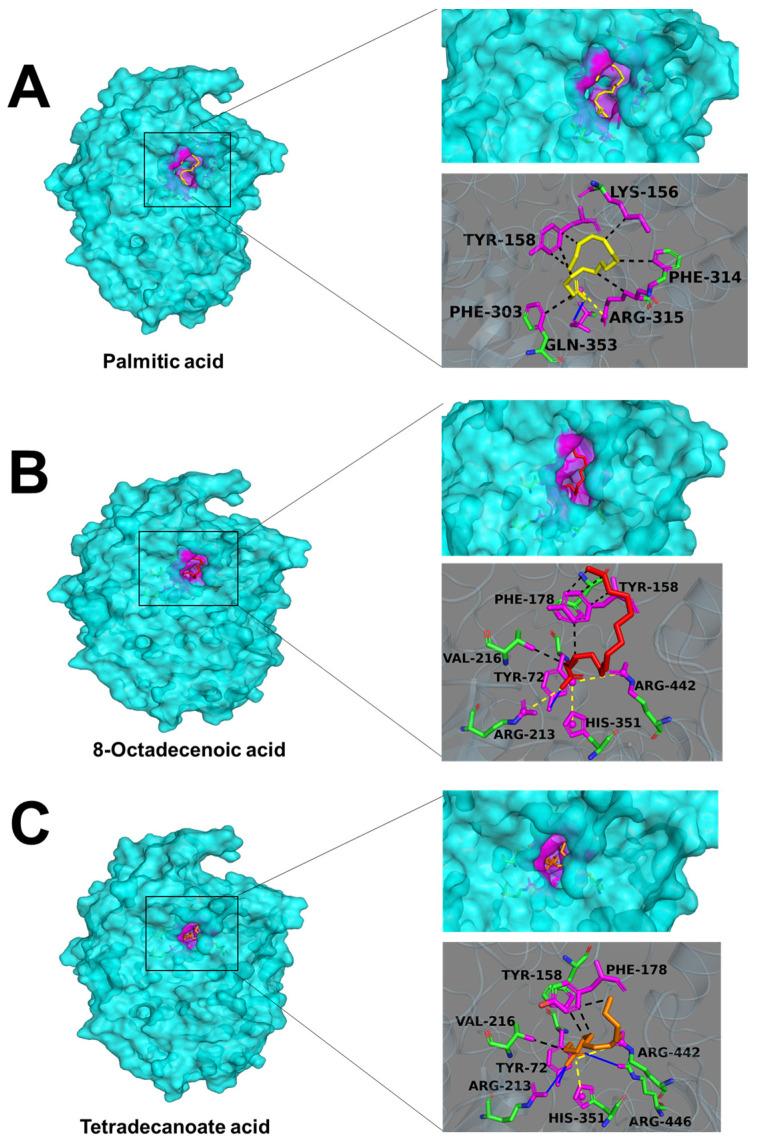 https://cdn.ncbi.nlm.nih.gov/pmc/blobs/abd8/11678123/451c3ebe58b4/molecules-29-06000-g008.jpg