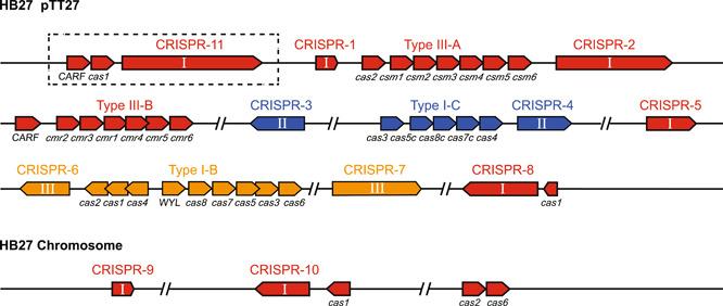 https://cdn.ncbi.nlm.nih.gov/pmc/blobs/abdc/10989782/373bb3df8a17/MLF2-1-412-g006.jpg