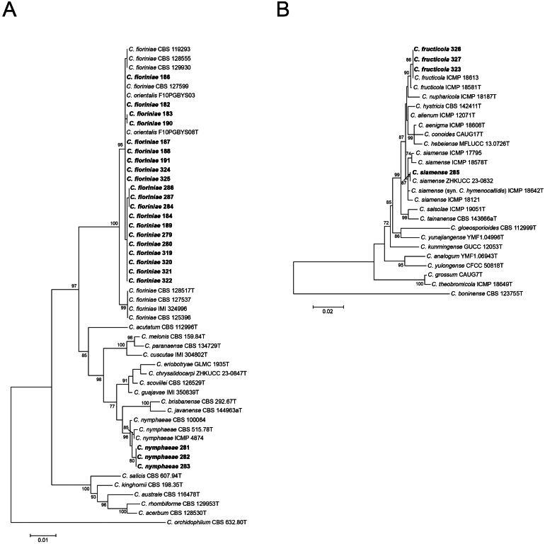 https://cdn.ncbi.nlm.nih.gov/pmc/blobs/abdc/12224728/843ba861e207/TMYB_A_2524882_F0002_B.jpg
