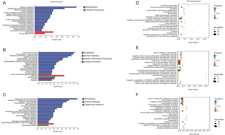 https://cdn.ncbi.nlm.nih.gov/pmc/blobs/abdc/9601429/dc7cdbc50722/genes-13-01898-g002.jpg