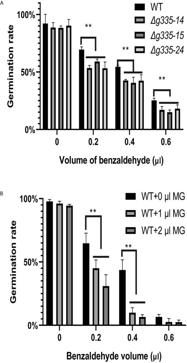 https://cdn.ncbi.nlm.nih.gov/pmc/blobs/abe0/8113876/c5d843763b4b/fcimb-11-640823-g004.jpg
