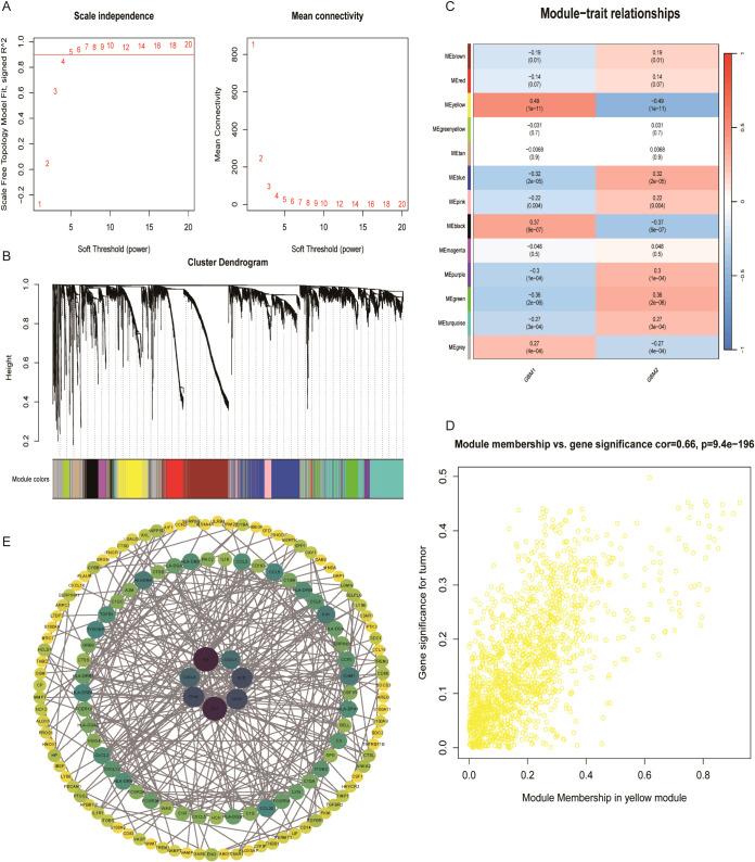 https://cdn.ncbi.nlm.nih.gov/pmc/blobs/abe3/12307187/79bb2bd6d4a4/fonc-15-1613423-g006.jpg