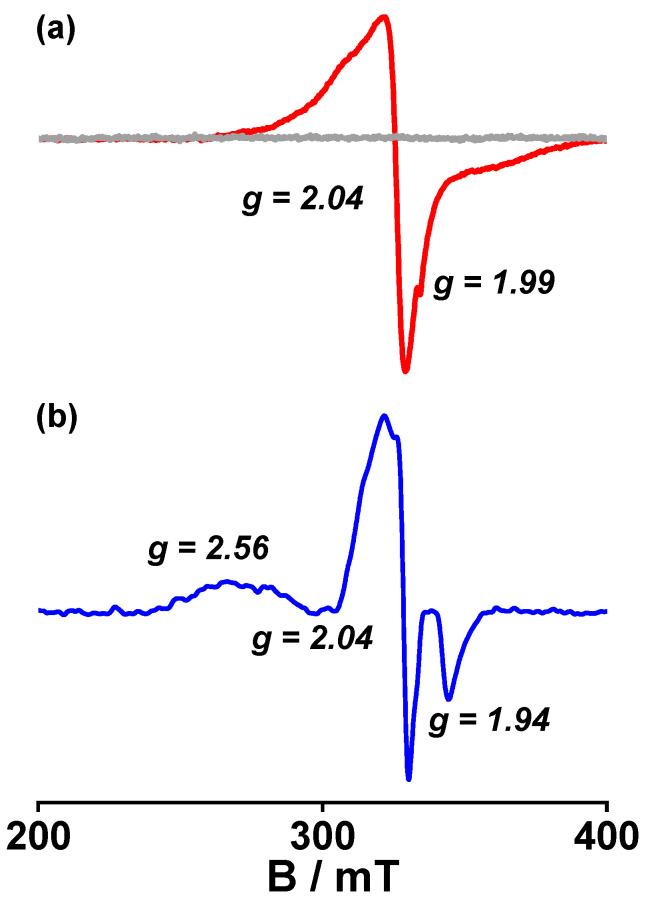 https://cdn.ncbi.nlm.nih.gov/pmc/blobs/abe5/10299331/55801407ef6e/ijms-24-10317-g005.jpg