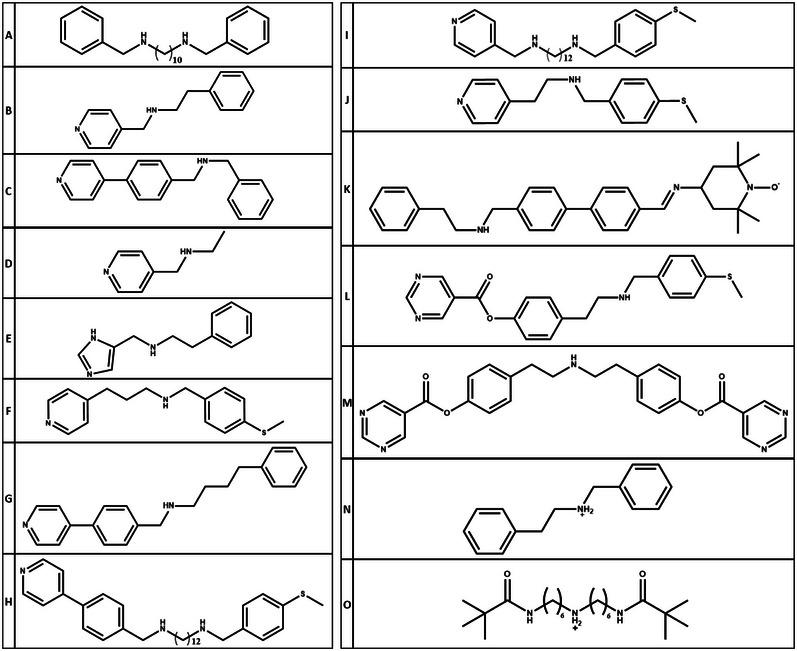 https://cdn.ncbi.nlm.nih.gov/pmc/blobs/abe5/12202853/6e1f18a45b8c/CHEM-31-e202501067-g022.jpg